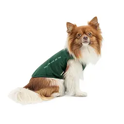 Боротьба Kale Pet Fashion для собак M зелена - мініатюра 2