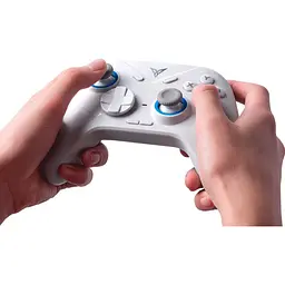 Геймпад Flydigi Direwolf 2 Gaming Controller [122632] - мініатюра 7