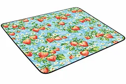 Плед складний утеплений для пікніка Bolan Home&Design Strawberry 130x170 см пляжний килимок фліс