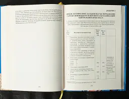 Вінницький ґродський суд. Поточна актова книга за 1768 рік. Подокументний опис - Олександр Петренко - мініатюра 10