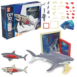 Збірна 3D-модель анатомії акули DIY 3D Sea Creatures Puzzle (310B-16)