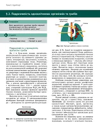 Біологія і екологія. Підручник. Профільний рівень. 11 клас - Костянтин Задорожний - мініатюра 5