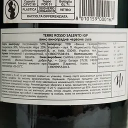Вино Cantine Lizzano Terre Rosso Salento IGP червоне сухе 0.75 л - мініатюра 4