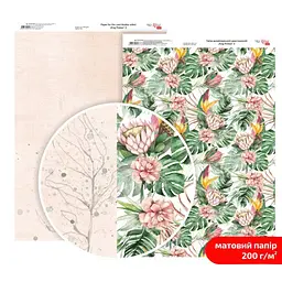 Папір дизайнерський двосторонній матовий „King Protea“ 3 21х29,7см 200г/м2 ROSA TALENT