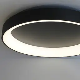 Стельовий світильник Friendlylight Rim 80 LED 3000K Black FL2098 - мініатюра 3