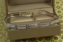 Браслет Xuping Jewelry Варшава 17 см 6 мм сріблястий