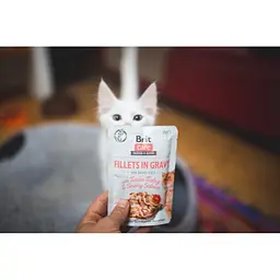 Вологий корм для котів Brit Care Cat pouch 85g (філе індички та лосося в соусі) - мініатюра 4