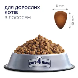 Сухий корм для кішок Club 4 Paws Преміум з лососем 900 г (4820269144729) - мініатюра 2