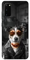 TPU чохол Demsky Jack rassel для Samsung Galaxy S20