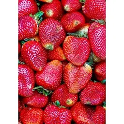 Саджанець Agro-Market Полуниця яскраво-червона Делішес (Delicious) 5 шт (італійська селекція, преміальний супер ранній сорт) (38439) - мініатюра 5