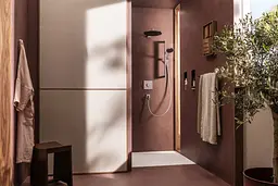 Верхній душ Hansgrohe Raindance Alive S 300 1jet EcoSmart chrome 24521000 - мініатюра 3