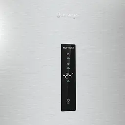 Морозильна камера Gorenje FN619EAXL6 - мініатюра 5