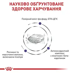 Сухий лікувальний корм для котів старше 7 років, схильних до набору зайвої ваги Royal Canin Mature Consult Balance, 1,5 кг - мініатюра 2