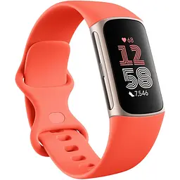 Фітнес-браслет Fitbit Charge 6 кораловий/золотистий шампань алюміній [176296]