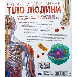 Дитяча книга Енциклопедія знань Тіло людини - Пітер Крісп, Стів Хоффман (525256) - мініатюра 5