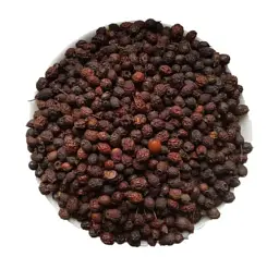 Глід Плоди Crataegus sanguinea - мініатюра 1