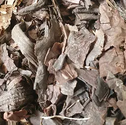 100 г бадан товстолистий/монгольський чай лист сушений - свіжий урожай