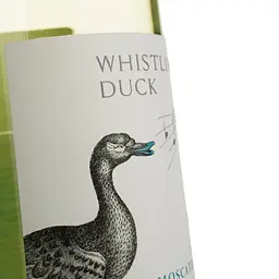 Вино Calabria Family Wines Whistling Duck Moscato, біле, солодке, 6%, 0,75 л (8000019567567) - мініатюра 3