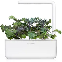 Змінний картридж Click & Grow Smart Garden Червона капуста, 3 капсули (8752) - мініатюра 5