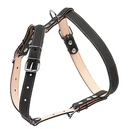 Шлея подвійна CoLLaR для середніх собак - мініатюра 2