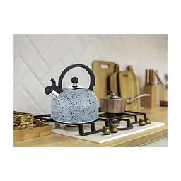 Чайник для плит Gusto Геракл 2.5 л (GT-1414-25) - мініатюра 3