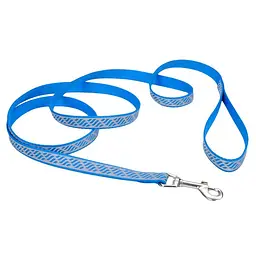 Coastal Lazer Brite Reflective Leash лазер брайт светоотражаючий повідок для собак 1.6см х 1.2м (46434_BWV04)
