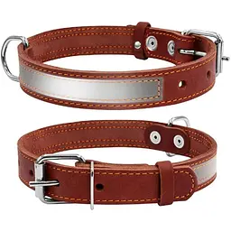 Нашийник для собак Collar зі світловідбиваючою стрічкою (4820082496388)