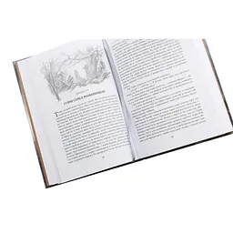 Сказання про дітей Гуріна - Джон Р. Р. Толкін Астролябія (9786176641957) - мініатюра 5