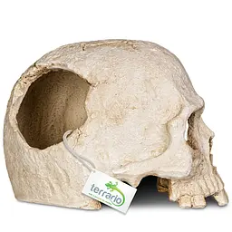 Декорація череп людини Terrario Human Skull 14x11x11см (151211) - мініатюра 6