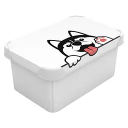 Коробка Qutu Style Box Pet 5 л 28.5х19х13.5 см білий (STYLE BOX с/к PET 5л.)