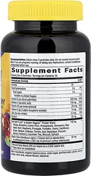Вітаміни та мінерали Nature's Way Alive! Immune with Elderberry, 90 желейок - мініатюра 2