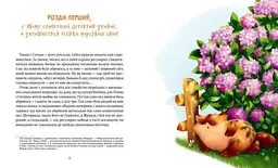 Морскосвинський детектив Книги 2 та 3. Жерар. Комплект із 2-х книг. Іван Андрусяк kni0004181 - мініатюра 2