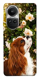 TPU чохол Demsky Flower spaniel для Oppo Reno 10