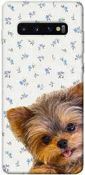 TPU чохол Demsky Cute Yorkie для Samsung Galaxy S10+