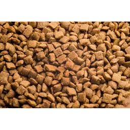 Уцінка. Сухий корм для стерилізованих котів Club 4 Paws Premium Sterilised 14 кг (B4630701) - мініатюра 2