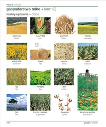 Polish English Bilingual Visual Dictionary - мініатюра 8