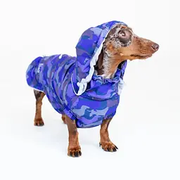 Вітровка для такс Hat-Dog Такса Муд (XS/Хлопчик) - мініатюра 5