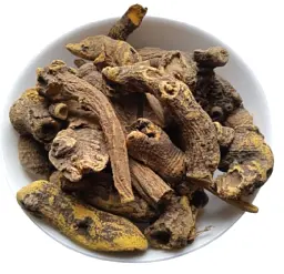 Щавель кінський Корінь Rumex confertus - мініатюра 1