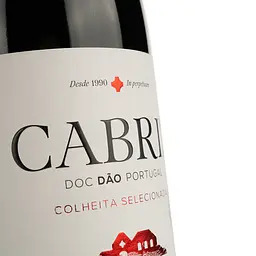 Вино Cabriz червоне сухе 0.75 л - мініатюра 3