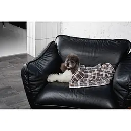 Плед Pet Fashion Bliss 2 для собак і котів плюш сірий картатий 70,5х94 см - мініатюра 7