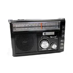 Радіоприймач на акумуляторі колонка з радіо на батарейках FM USB MicroSD та ліхтариком Golon RX-382 - мініатюра 2