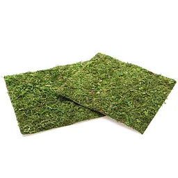 Фон з натурального моху Repti-Zoo Natural Moss Back & Bottom 20x20см 2 шт (NCM2020) для тераріуму - мініатюра 6