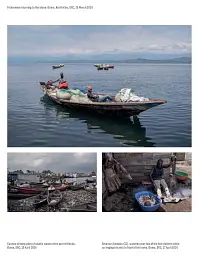 World Press Photo Yearbook 2025 - мініатюра 2