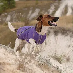 Жилет Pet Fashion E.Vest для собак, розмір XS, фіолетовий - мініатюра 3