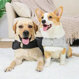 Заспокійливий жилет для собак WanTalk Dog Anxiety Jacket, Light Grey - мініатюра 8