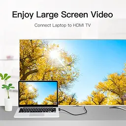 Кабель мультимедійний HDMI M to DVI M 2.0m 4K60Hz black Vention (ABFBH) - мініатюра 5