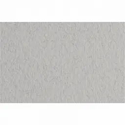 Папір для пастелі Tiziano nebbia 29 А4 21х29,7 см 160 г/м2 сірий (10) 16F4129