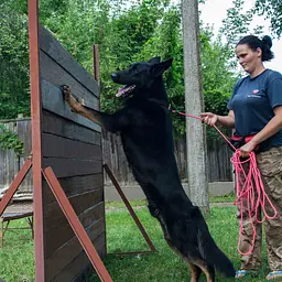 Повідець для собак Barksi Active тренувальний (довжина 5.15 м діаметр 0.7 см) рожевий - мініатюра 9