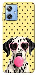 TPU чохол Demsky Pinky dolmatin для Motorola Moto G84