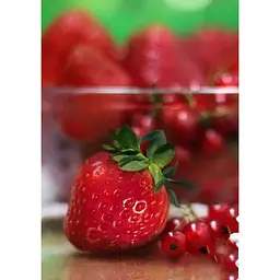 Саджанець Agro-Market Полуниця Зенга Зенгана (Senga Sengana) 5шт (середньо-пізній термін дозрівання) (40395) - мініатюра 4